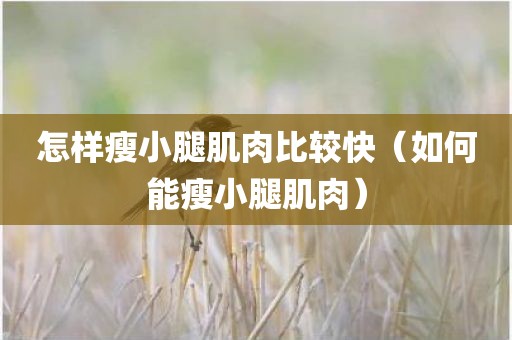 怎样瘦小腿肌肉比较快（如何能瘦小腿肌肉）