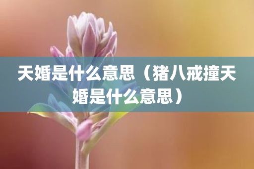 天婚是什么意思（猪八戒撞天婚是什么意思）