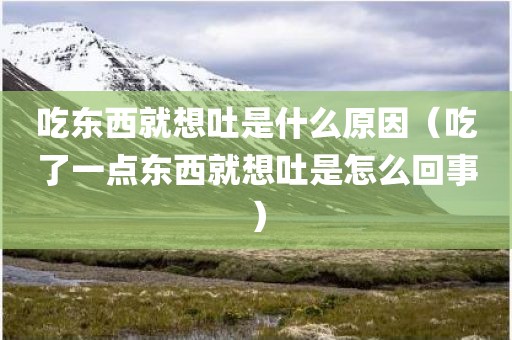 吃东西就想吐是什么原因(吃了一点东西就想吐是怎么回事)