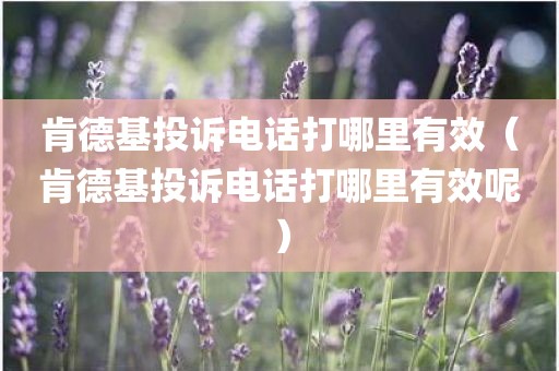 肯德基投诉电话打哪里有效（肯德基投诉电话打哪里有效呢）