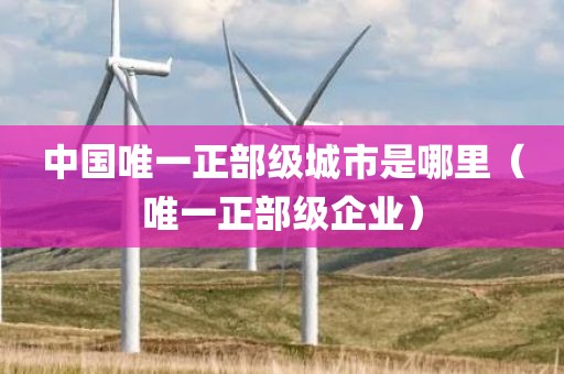 中国唯一正部级城市是哪里（唯一正部级企业）