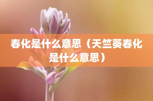 春化是什么意思（天竺葵春化是什么意思）