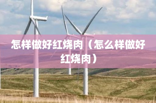 怎样做好红烧肉（怎么样做好红烧肉）