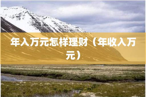 年入万元怎样理财（年收入万元）