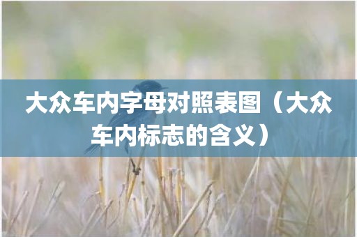 大众车内字母对照表图（大众车内标志的含义）