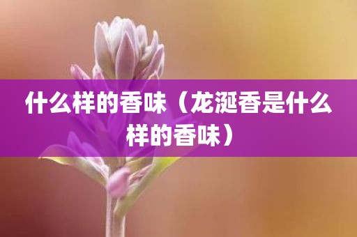 什么样的香味（龙涎香是什么样的香味）