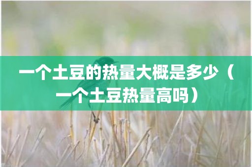 一个土豆的热量大概是多少（一个土豆热量高吗）