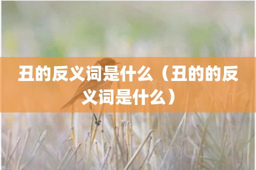 丑的反义词是什么（丑的的反义词是什么）