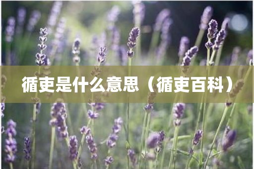 循吏是什么意思（循吏百科）