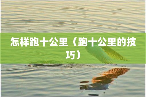 怎样跑十公里（跑十公里的技巧）