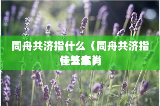 同舟共济指什么（同舟共济指什么生肖佳答案）