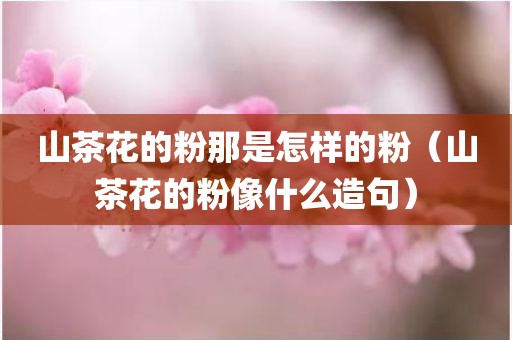 山茶花的粉那是怎样的粉（山茶花的粉像什么造句）