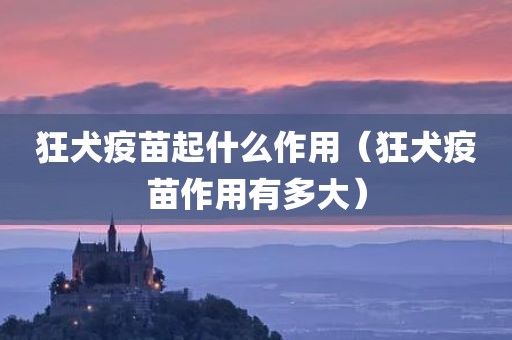 狂犬疫苗起什么作用（狂犬疫苗作用有多大）