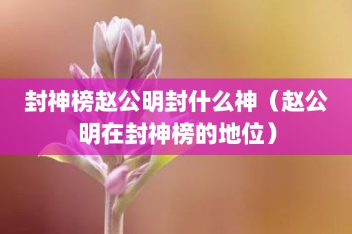 封神榜赵公明封什么神（赵公明在封神榜的地位）