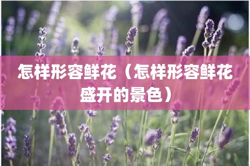 怎样形容鲜花（怎样形容鲜花盛开的景色）