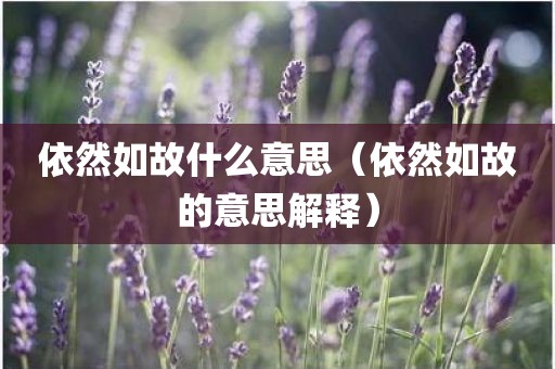 依然如故什么意思（依然如故的意思解释）