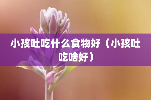 小孩吐吃什么食物好(小孩吐吃啥好)
