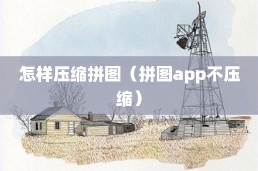 怎样压缩拼图（拼图app不压缩）