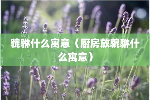 貔貅什么寓意（厨房放貔貅什么寓意）