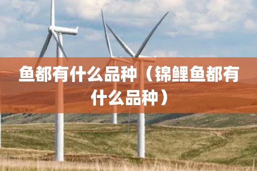 鱼都有什么品种（锦鲤鱼都有什么品种）