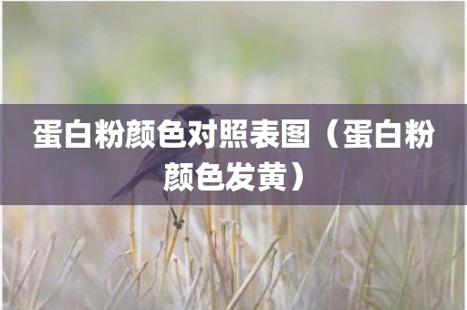 蛋白粉颜色对照表图（蛋白粉颜色发黄）