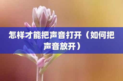 怎样才能把声音打开（如何把声音放开）