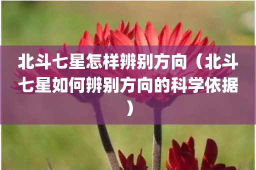北斗七星怎样辨别方向（北斗七星如何辨别方向的科学依据）