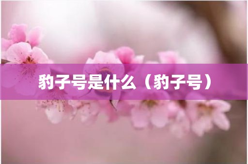 豹子号是什么(豹子号)