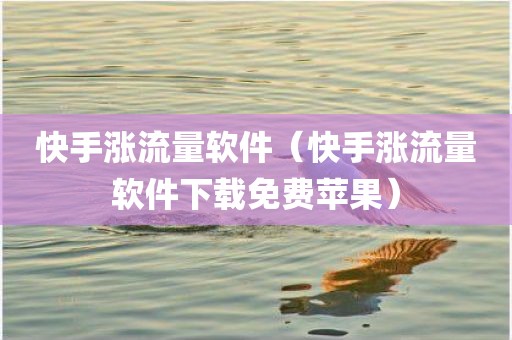 快手涨流量软件（快手涨流量软件下载免费苹果）