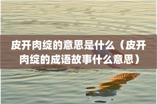 皮开肉绽的意思是什么（皮开肉绽的成语故事什么意思）