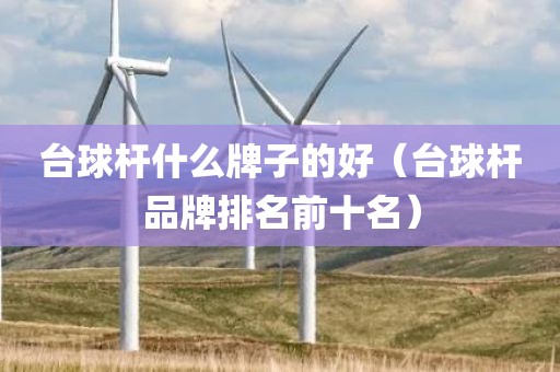 台球杆什么牌子的好（台球杆品牌排名前十名）