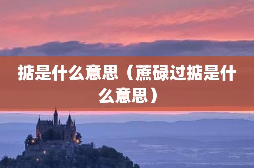 掂是什么意思（蔗碌过掂是什么意思）