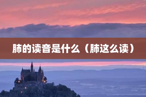 肺的读音是什么（肺这么读）