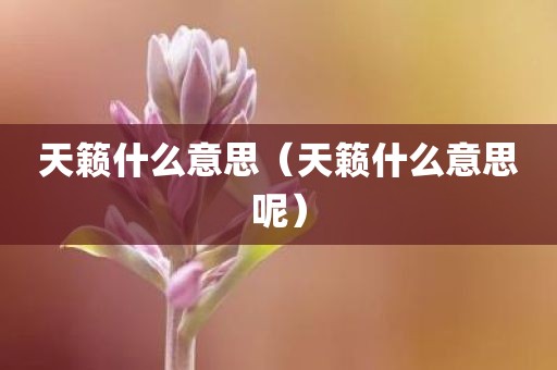 天籁什么意思（天籁什么意思呢）