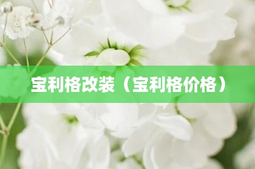 宝利格改装（宝利格价格）