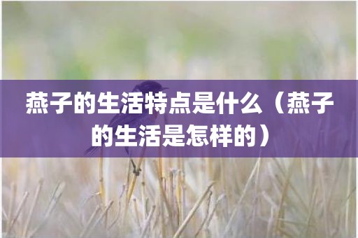 燕子的生活特点是什么（燕子的生活是怎样的）