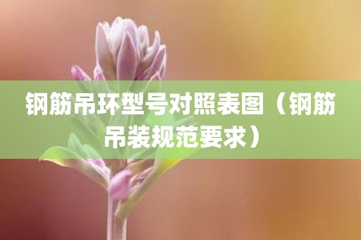 钢筋吊环型号对照表图（钢筋吊装规范要求）