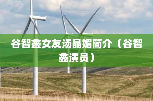 谷智鑫女友汤晶媚简介（谷智鑫演员）