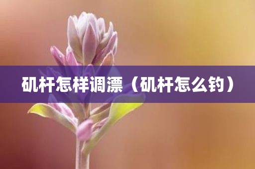 矶杆怎样调漂（矶杆怎么钓）