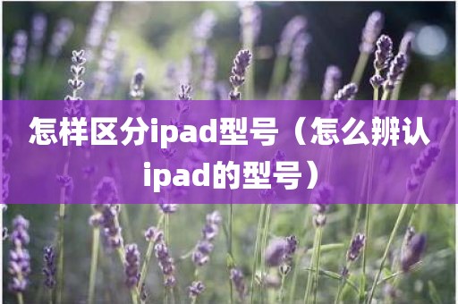 怎样区分ipad型号（怎么辨认ipad的型号）