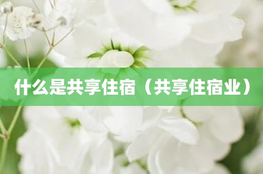 什么是共享住宿（共享住宿业）