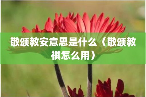 敬颂教安意思是什么（敬颂教祺怎么用）