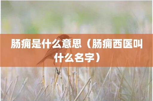 肠痈是什么意思（肠痈西医叫什么名字）