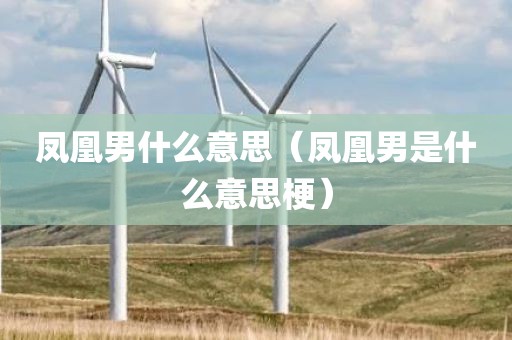 凤凰男什么意思（凤凰男是什么意思梗）