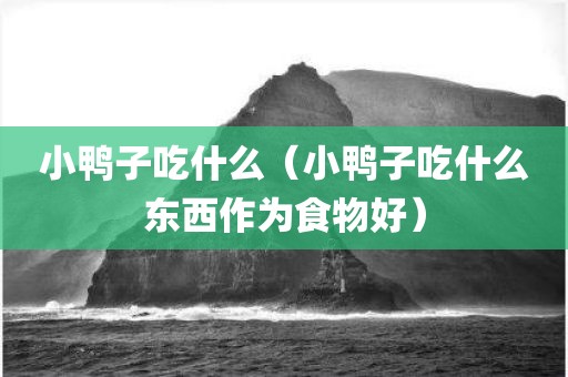小鸭子吃什么（小鸭子吃什么东西作为食物好）