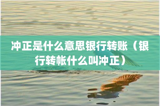 冲正是什么意思银行转账（银行转帐什么叫冲正）