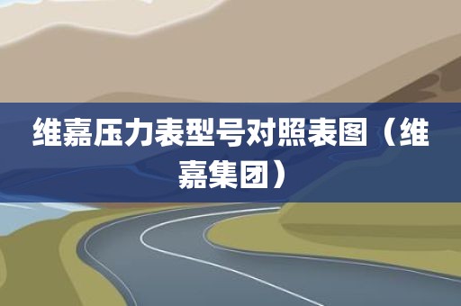 维嘉压力表型号对照表图（维嘉集团）