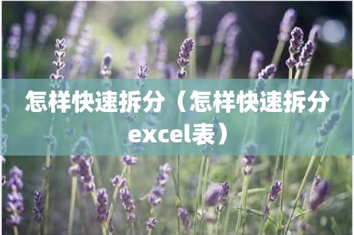 怎样快速拆分（怎样快速拆分excel表）
