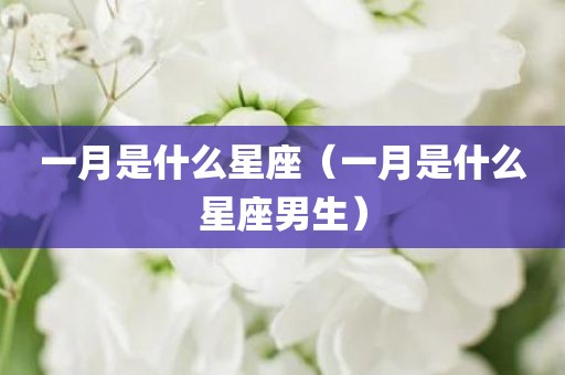 一月是什么星座（一月是什么星座男生）