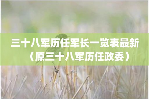 三十八军历任军长一览表最新（原三十八军历任政委）